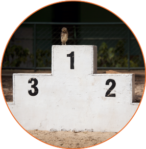 Survey & Rankings
